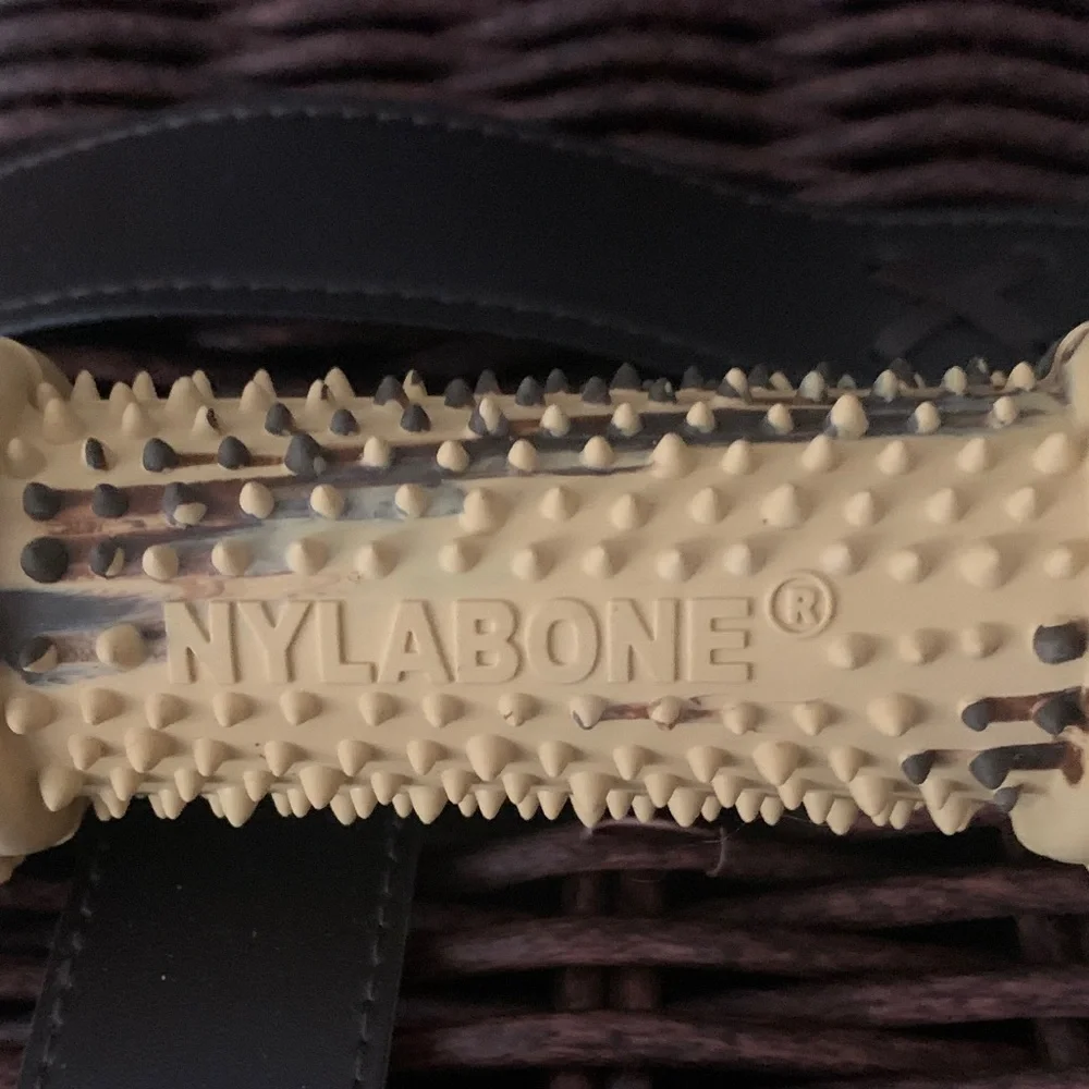 Nylabone Dog Toy size lg